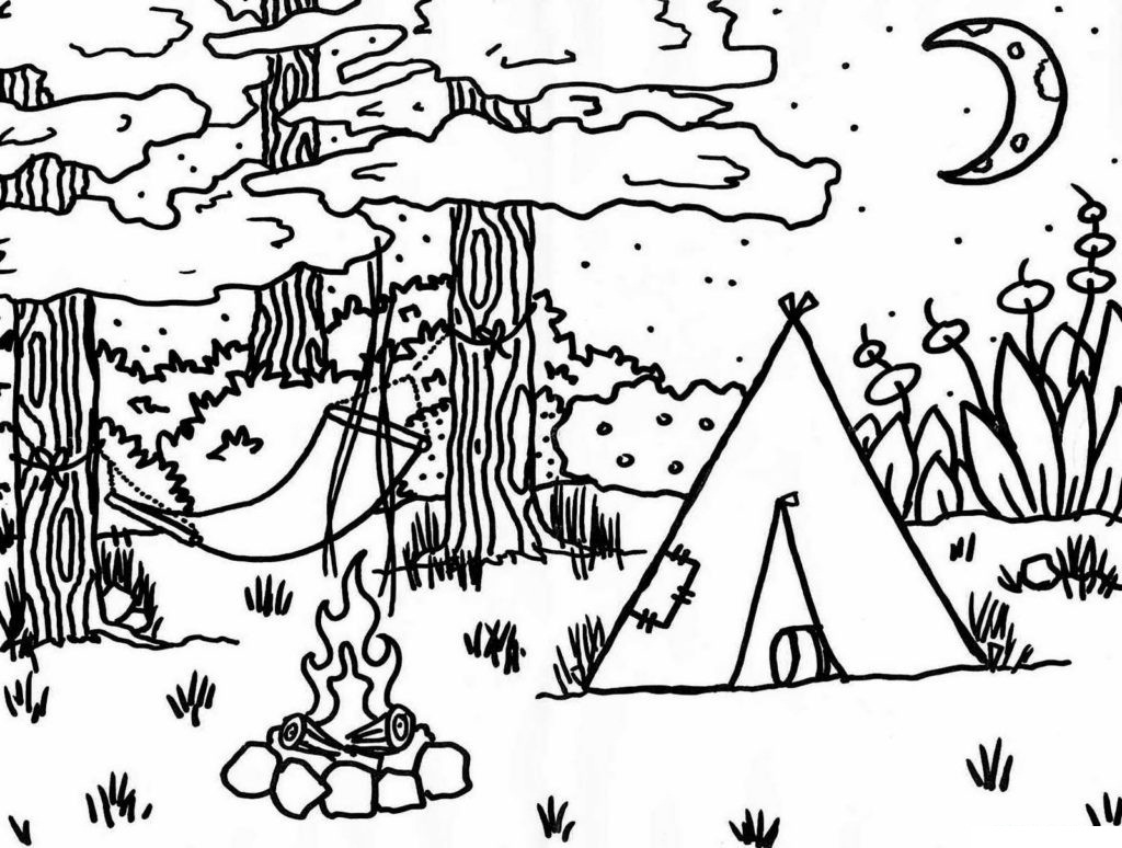 Camp-fire in the Woods