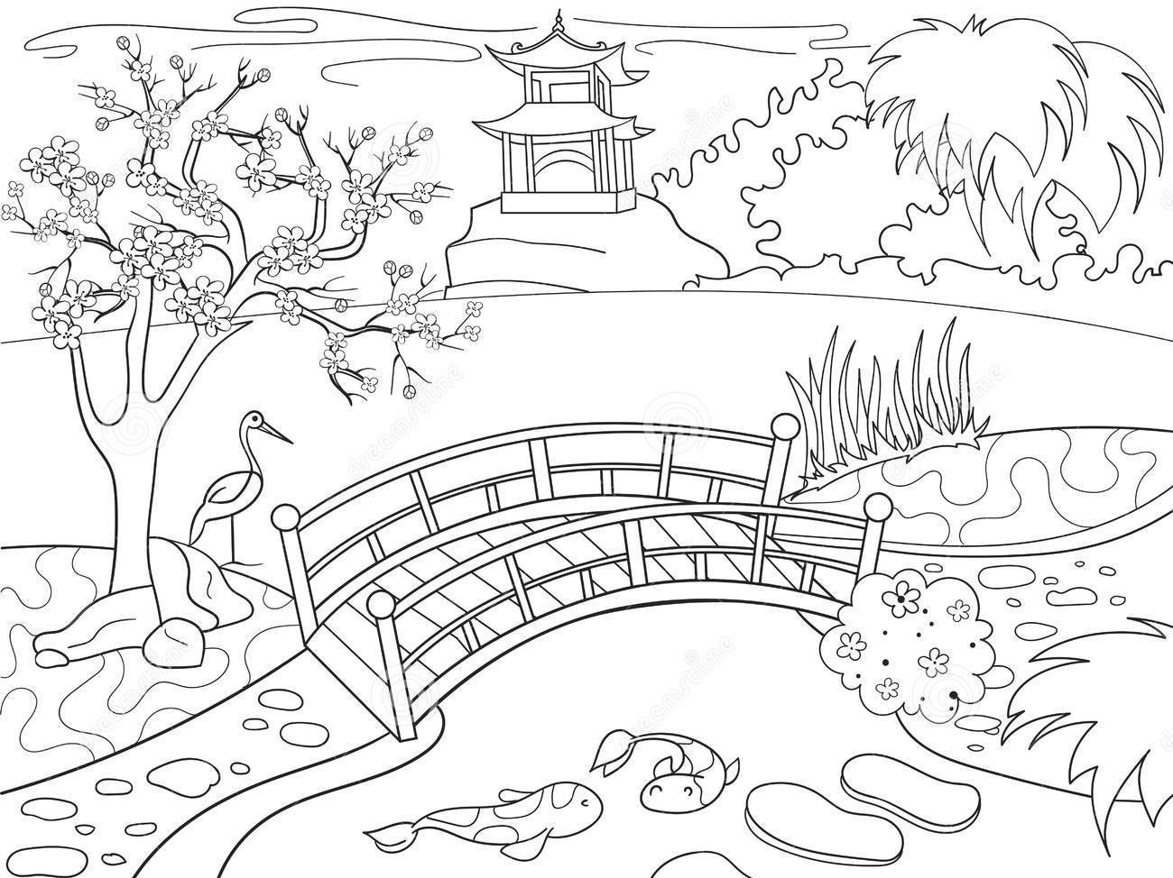 Koi Fish Pond
