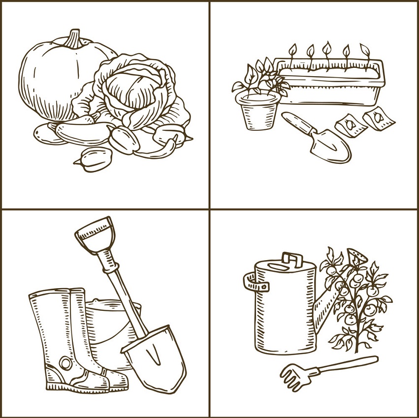 Garden Tools with Plants