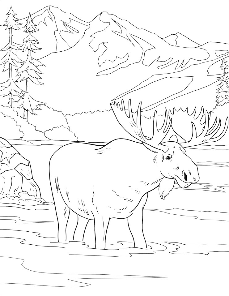 Denali National Park